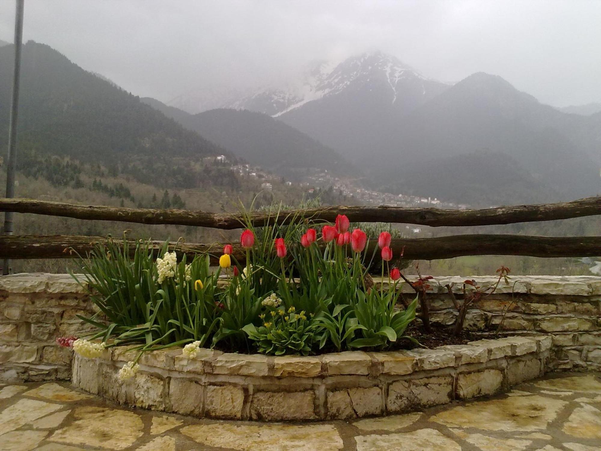 Rizoma Guesthouse Mikrón Khoríon Екстериор снимка